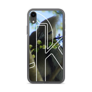 Krug Grey Lourie iPhone Case on David Krug Online Store